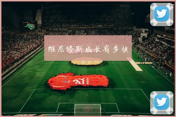 维尼修斯成长有多快